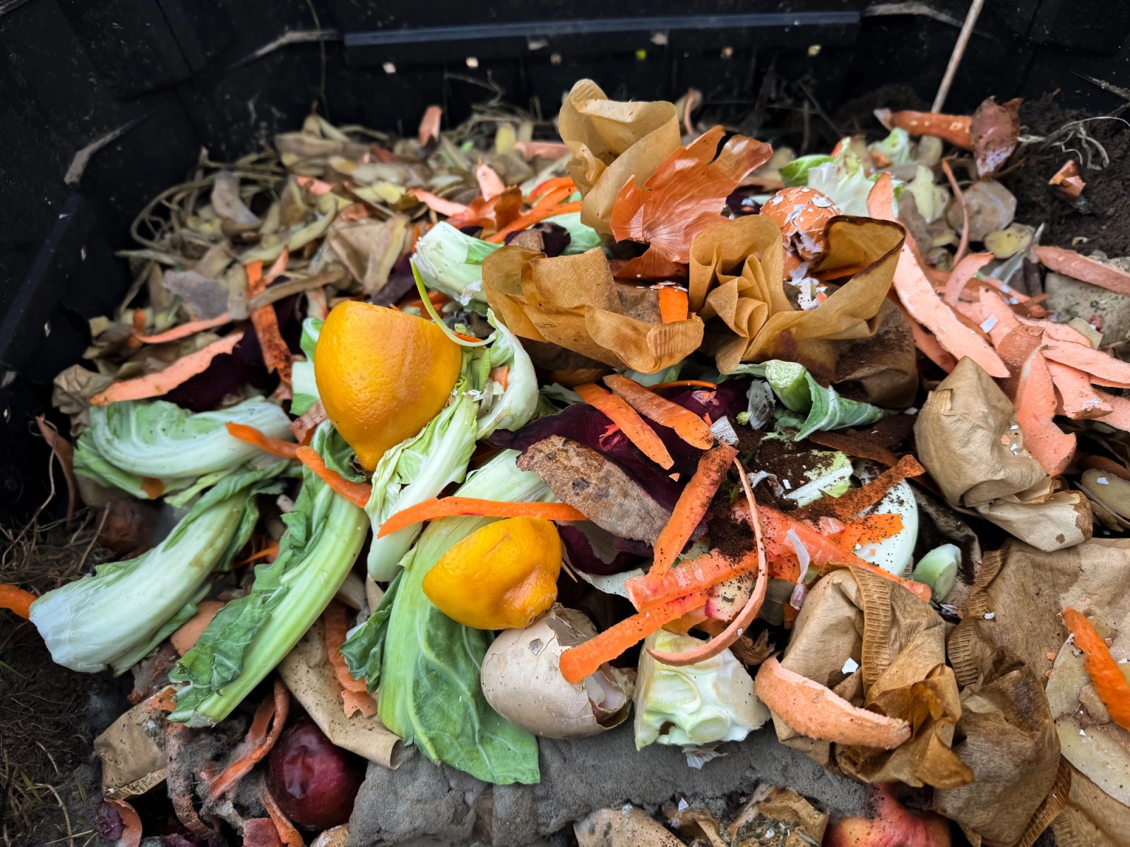 Kompost dela prave čudeže